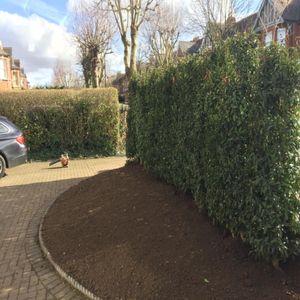 3 INSTANT HEDGE DRIVEWAY